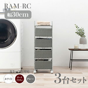 y3Zbgzy30cmzy4izRAM-RC h[`FXg LX^[zCg _[NuE O[30 s30 85cmh[[ 󕨎[ q[ F F^ Vv