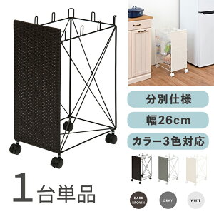 RUDO-DB S~ _XgS ݔ y1PizJ[FzCg/uE/O[TCYF26×s40×60.5cmfށFX`[E|G`S~oR ݂΂ X Xܗp ډB