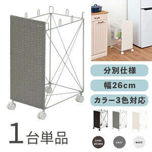 RUDO-DB S~ _XgS ݔ y1PizJ[FzCg/uE/O[TCYF26×s40×60.5cmfށFX`[E|G`S~oR ݂΂ X Xܗp ډB