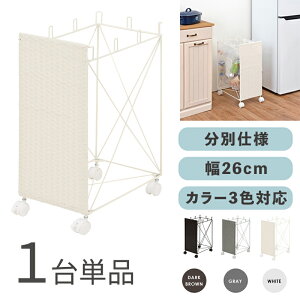 RUDO-DB S~ _XgS ݔ y1PizJ[FzCg/uE/O[TCYF26×s40×60.5cmfށFX`[E|G`S~oR ݂΂ X Xܗp ډB