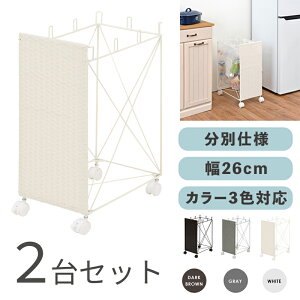 RUDO-DB S~ _XgS ݔ y2ZbgzJ[FzCg/uE/O[TCYF26×s40×60.5cmfށFX`[E|G`S~oR ݂΂ X Xܗp ډB