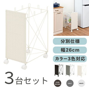 RUDO-DB S~ _XgS ݔ y3ZbgzJ[FzCg/uE/O[TCYF26×s40×60.5cmfށFX`[E|G`S~oR ݂΂ X Xܗp ډB