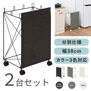 RUDO-DB S~ _XgS ݔ y2ZbgzJ[FzCg/uE/O[TCYF38×s28×60.5cmfށFX`[E|G`S~oR ݂΂ X Xܗp ډB