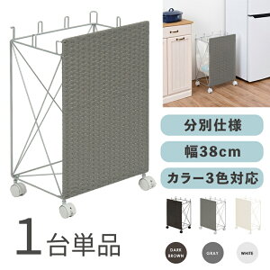 RUDO-DB S~ _XgS ݔ y1PizJ[FzCg/uE/O[TCYF38×s28×60.5cmfށFX`[E|G`S~oR ݂΂ X Xܗp ډB