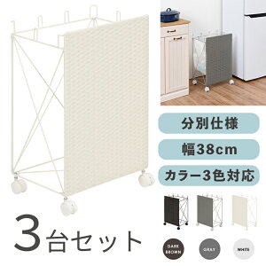 RUDO-DB S~ _XgS ݔ y3ZbgzJ[FzCg/uE/O[TCYF38×s28×60.5cmfށFX`[E|G`S~oR ݂΂ X Xܗp ډB