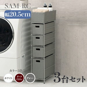 y3Zbgzy20.5cmzy4iz20.5 s40.5 95.5cm SAM-RC h[`FXgzCg _[NuE O[h[[ 󕨎[ q[ F^ Vv JS 