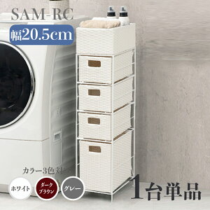 y1Pizy20.5cmzy4iz20.5 s40.5 95.5cm SAM-RC h[`FXgzCg _[NuE O[h[[ 󕨎[ q[ F^ Vv JS h