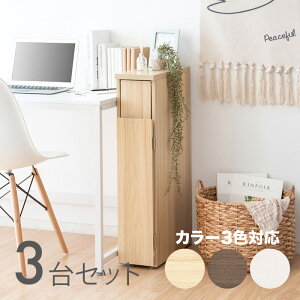 SANA-DB S~ _Xg{bNX ݔ y3ZbgzJ[FzCg/uE/i`TCYF17×s44.5×80cmfށFϑ@۔S~oR ݂΂ X Xܗp_X