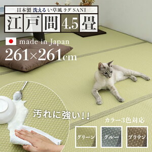 􂦂ybgΉO ybgO YO SANI O  O 􂦂 o[VuTCY ]ˊ4.5 261 s261cm􂦂ybgΉO ybgO O ybgp h 􂦂 