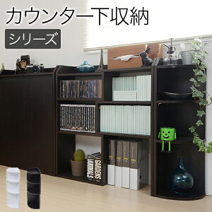 ő10,000~N[|JE^[[ ^  [  o Ƌ 80cm s22cm s20cm _CjOJE^[ THLB