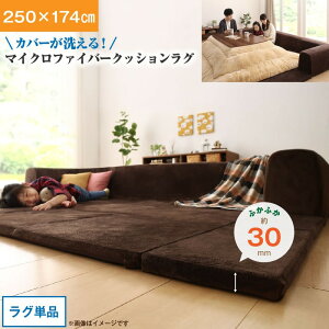 ZO Jo[􂦂ĔN ɍ킹}CNt@Co[NbVO O  250×174