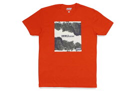 DELTA NINE RESERVE GRAPHIC S/S T-SHIRT (ORANGE)デルタナインリザーブ/ショートスリーブティーシャツ/オレンジ