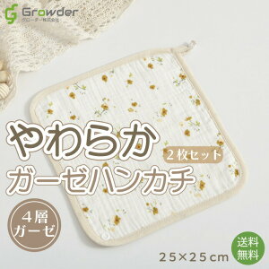 炩K[[nJ` j̎q ̎q V 4wK[[