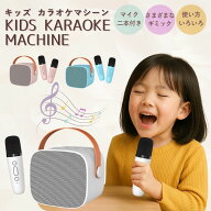 カラオケ カラオケセット 室内遊び マイク 2本 ミニカラオケ 持ち運び コンパクト マイク2本付き 無線マ…