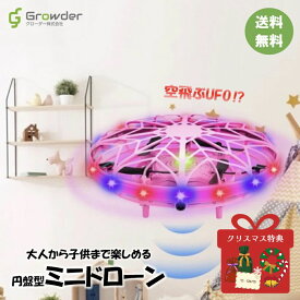 12/5 P5倍！特典付★おもちゃ 超軽量ミニドローン UFOドローン トイドローン ラジコン ジェスチャー制御 室内 ハンドコントロール 自動ホバリング 2段スピード調整 LEDライト付き 子供向け プレゼント 贈り物 USB充電 子ども プレゼント室内 浮遊 回転式