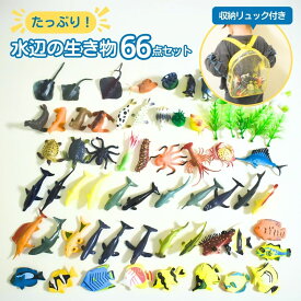 12/5 P5倍！【大容量】64点セット 水辺の生き物 人気 動物 海 生物 リアル フィギュア 人形 ミニチュア センサリー センサリー遊び 感触遊び 感覚遊び 水遊び 海 氷遊び お風呂遊び 水族館 魚 誕生日 こどもの日 プレゼント ギフト 子供 孫 小学生 おもちゃ