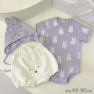 xr[ ZbgAbv xr[ ̎q  p[X3_Zbg pc tu} {lbg LbY Ԃ ㉺Zbg q oYj 킢 ĕ  Rbg ʐ^Be