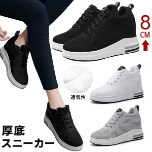 Xj[J[ fB[X EH[LOV[Y Cq[Xj[J[ fB[XXj[J[  V[NbgV[Y 8cm r y ؍ gAbv q[Abv Cq[ 