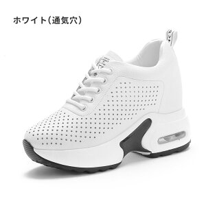 Xj[J[ fB[X Cq[Xj[J[  Xj[J[ nCJbgV[Y nCJbg Xj[J[ rXj[J[ Xb| gAbv10cm C y ؍ ₷ q[Xj