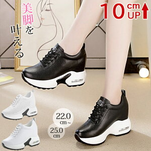 Xj[J[ fB[X Cq[Xj[J[  Xj[J[ nCJbgV[Y nCJbg Xj[J[ rXj[J[ Xb| gAbv10cm C y ؍ ₷ q[Xj