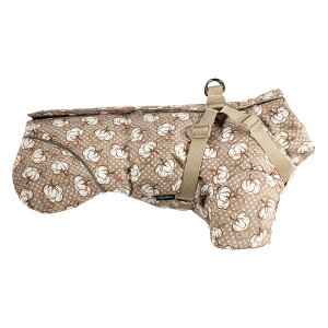   Wp[ ̕ WPbg R[g n[lX̌^ hbOEFA ȓ h h hbOEFA g ₷ ₷ ybg ^ ^ H H ~ ~p ~ H~ 