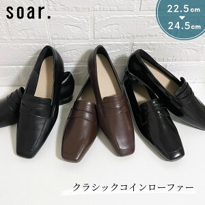 y25H~VzRC[t@[ fB[X Vv [q[ XNGAgD ₷ ɂ  NVbN H ~ lJWA 22.5cn 23cm 24cm 24.5cm LL \A soar. 24058