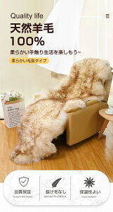 [gO 6C/4C/8C 150*200cm [gt[X [g 150*200cm H~pE[NbV 100VRE[ _炩G H~p@100VRE[ _炩G  \t@V[g