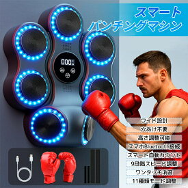 パンチング マシン 音楽再生 家庭用 ダイエット パンチングマシン ミュージック ボクシングマシン パンチングマシーン ライト Bluetooth トレーニング ストレス解消 発散 室内 練習用具 子供 男性 女性 ボクシング フィットネス エクササイズ