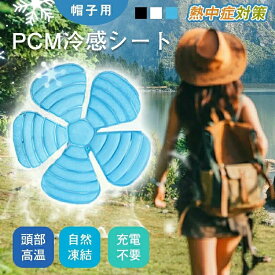 冷感 ヘッドクール 帽子用クールシート 熱中症対策 クールパッド アイスパッド 冷却シート スマートエコ アイス ヘッドクーラー クールヘッド 帽子 保冷剤 頭 冷却 クール PCM 持続冷感 ひんやり 暑さ対策