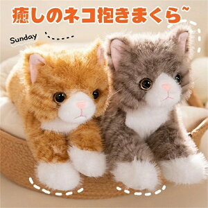 40cm L lR u ʂ A  L L 킢 { L lR ͌^ G NbV g OєL  Aj} ӂӂ Q܂ ̔L lR 炩  X