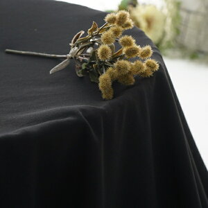 �y2.9m�F�͂���z�y���n���F140cm�z�|���G�X�e���{�C���|���`�y�J���[�F���z[BK][�j�b�g���n][���n�E���n�E�z][TNGP3091]�y�i�ԁFf0641�z