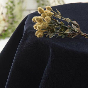 �y1.3m�F�͂���z�y���n���F106cm�z�R�b�g���V���c�R�[�f�����C�y�J���[�F���z[�v�����g�E�X�g���C�v][���n�E���n�E�z][�l�C�r�[�n][TNGP3122]�y�i�ԁFkb0616�z