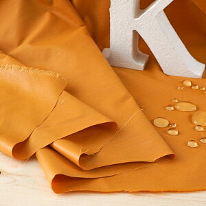 y2.1mF͂zynF145cmz|GXe^t^R[eBOyJ[FNX~IWz[OR][n][nEnEz][TNGP3052]yiԁFmb0144z