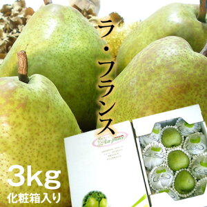 Mtgp@R`EtX 3kg 2L10`11yz@m@tX