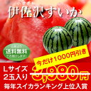 ★今だけ1000円引き★昨年はスイカランキング2位！【送料無料】山形伊佐沢すいか　Lサイズ2玉入り　約12kg以上（1玉あたり約6kg以上） ランキングお取り寄せ