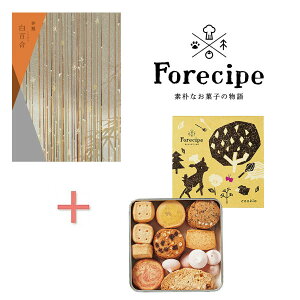 y|Cg5{zJ^OMtgtHVs@ȐX̃NbL[̑gMtgyj Ԃ oYj MtgZbg gݍ킹Mtg ZbgMtg j Vzj l