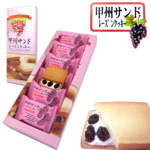 xmRyYbBTh([YNbL[)A[hN[dグ[Y̍6