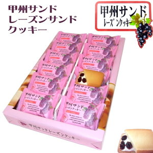 xmRyYbBTh([YNbL[)A[hN[dグ[Y̍12