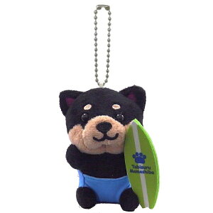 }΃T[t@[o[Wi܂߁jʂ݃{[`F[