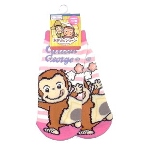 ñW[Ws蔪bfB[X\bNX22cm`25cm