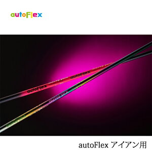 yVtgzautoFlex UTILITY/I[gtbNX ACAp Dumina/f~i IRONp wObvEgčH y\Ȃy_zy{̔fz