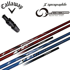 LEFC hCo[ΉX[utJX^Vtg Syncagraphite/VJOt@Cg LOOP SLASH6 TYPE-B / TYPE-R [vXbV6 ^CvB/^CvR G[g AiX[N p_C [