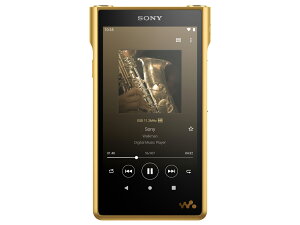 SONY �E�H�[�N�}�� WM1�V���[�Y NW-WM1ZM2�@�V�i