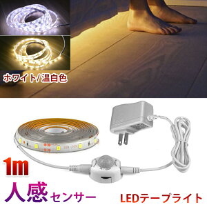 lZT[Cg LED e[vCg zCg 1m ACA_v^[t ؒf\ h ԐڏƖ  L gC Ki I