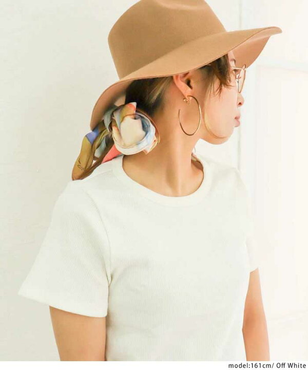 楽天市場】大きいサイズレディース トップス Tシャツ コンパクトリブ 