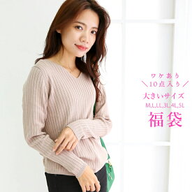 訳あり福袋 ラッキーバッグ 2025 福袋 ハッピーバッグ 大きいサイズ レディース トップス ボトムス ワンピース カットソー デニム 大きいサイズレディース M L LL 3L 4L 5L