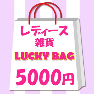  fB[X@܁@G݁@bL[obO@2025N@@ 5000~I@obO ANZT[@v[g