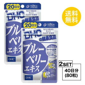 【2個セット 】 DHC ブルーベリーエキス 20日分 （40粒）【賞味期限 25.11】 【即納】ディーエイチシー サプリメント 送料無料