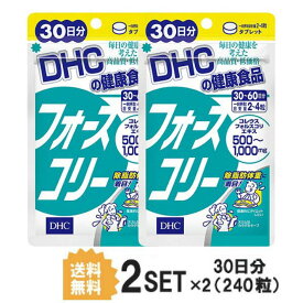 送料無料 2個セット DHC フォースコリー 30日分（120粒 ）ビタミンB1 ビタミンB2 ビタミンB6 ダイエットサポート コレウスフォルスコリエキス加工食品 ギフト 除脂肪 体重 ビューティー スッキリ シェイプアップ デトックス 飲みやすい 食事制限 生活習慣 不規則 日本製