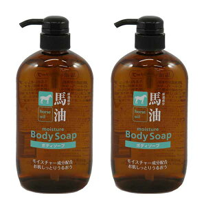 y2Zbgz n{fB[\[v 600mL ×2Zbg n {fB[\[v ێ Ƃ 邨 RXXe[V